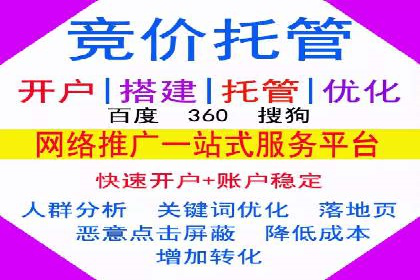 专业SEM托管，案例分析效果显著